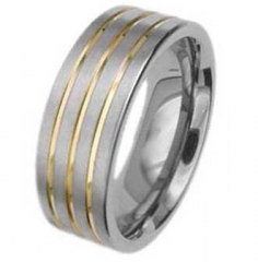 Ring Titan Modell 8